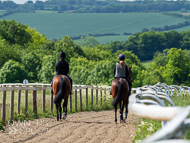 CH290522-81 - Charlie Hills Stable Visit